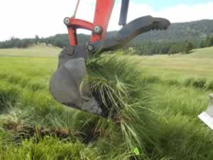 Keystone Restoration Ecology Design/Build Process