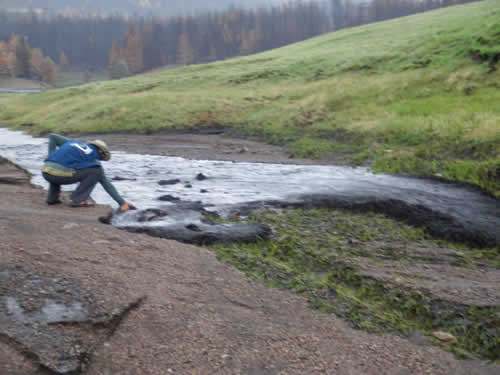 Fire Restoration by Keystone Restoration Ecology