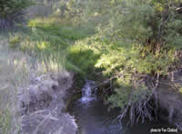 wetland-draining